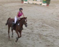 jumper Oris (Russian Trakehner, 1999, from Pritok)