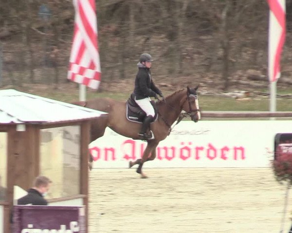 Reitturnier Westergellersen 2021