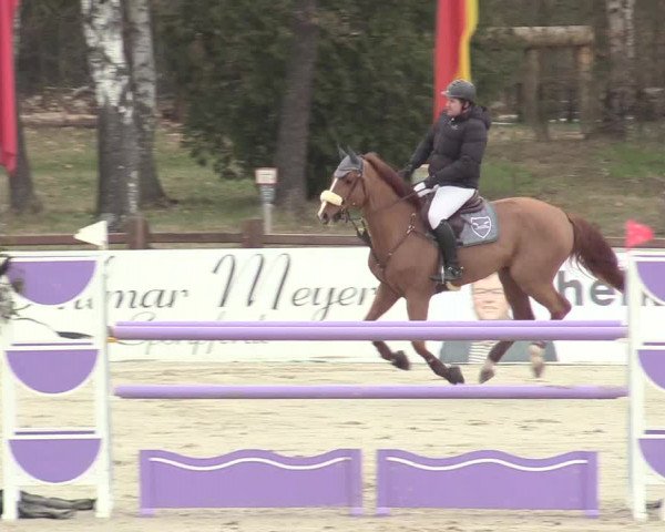 Reitturnier Westergellersen 2021