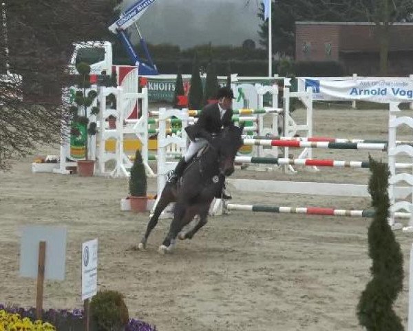 jumper Udaryllis (Belgian Warmblood, 1997, from Heartbreaker)