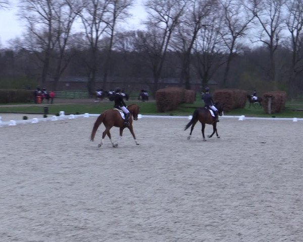 Reitturnier Münster-Handorf 2021