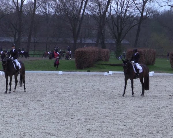 Reitturnier Münster-Handorf 2021