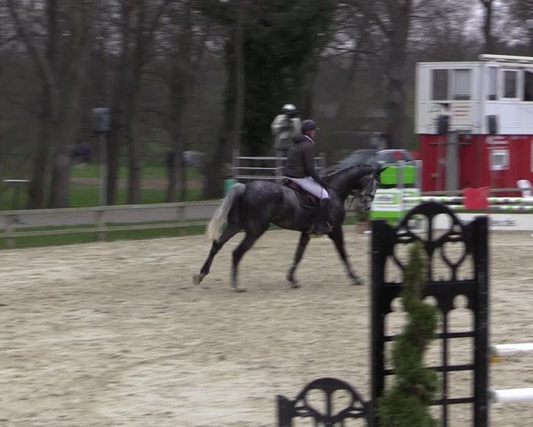 Reitturnier Münster-Handorf 2021