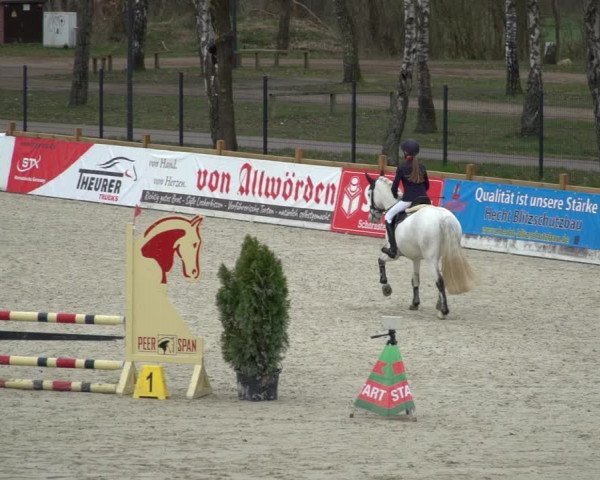 Reitturnier Westergellersen 2021