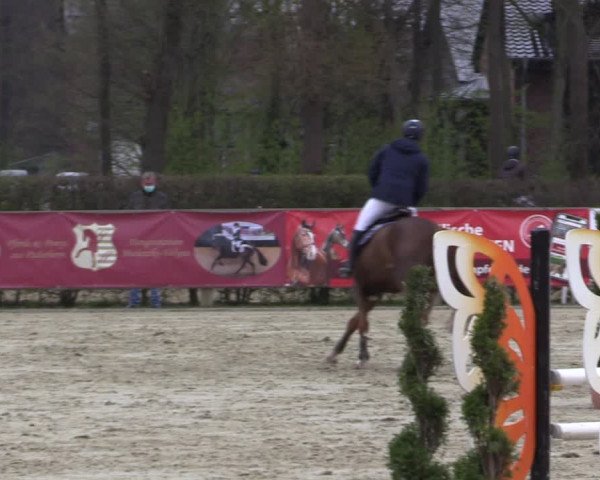 Reitturnier Münster-Handorf 2021