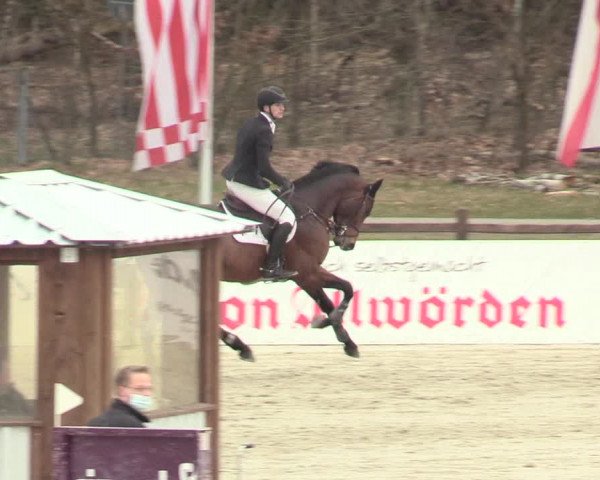 Reitturnier Westergellersen 2021