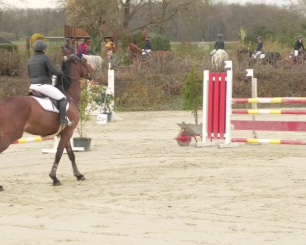 Reitturnier Nordheim-Wattenheim 2021