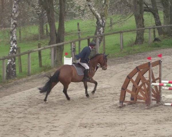 Reitturnier Erkrath - Uhlenhof 2021