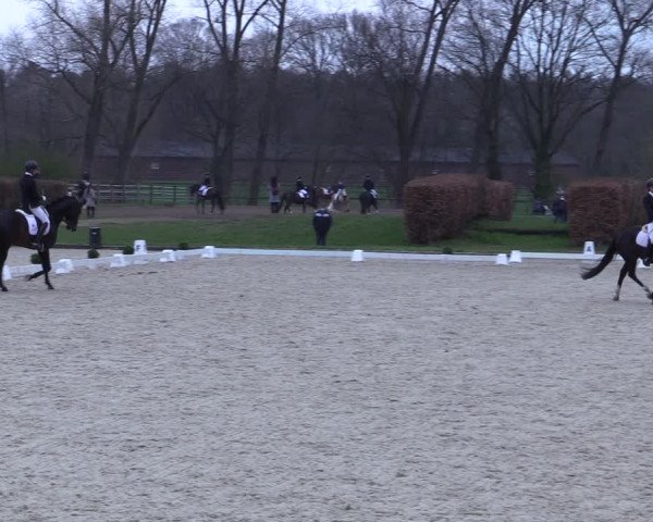 Reitturnier Münster-Handorf 2021