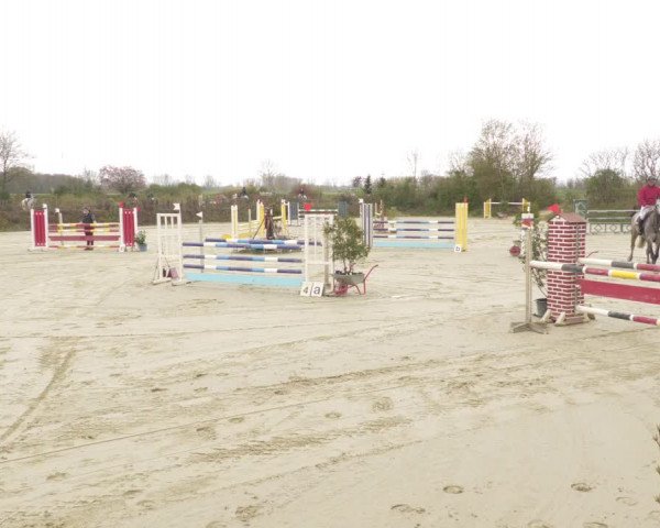 Reitturnier Nordheim-Wattenheim 2021