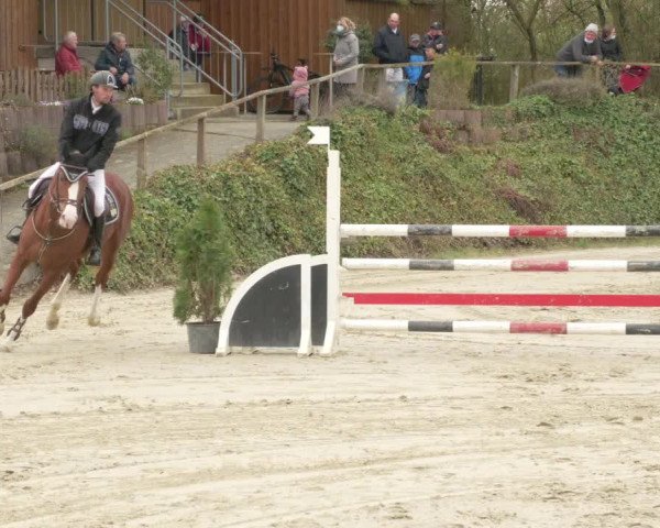 Reitturnier Nordheim-Wattenheim 2021