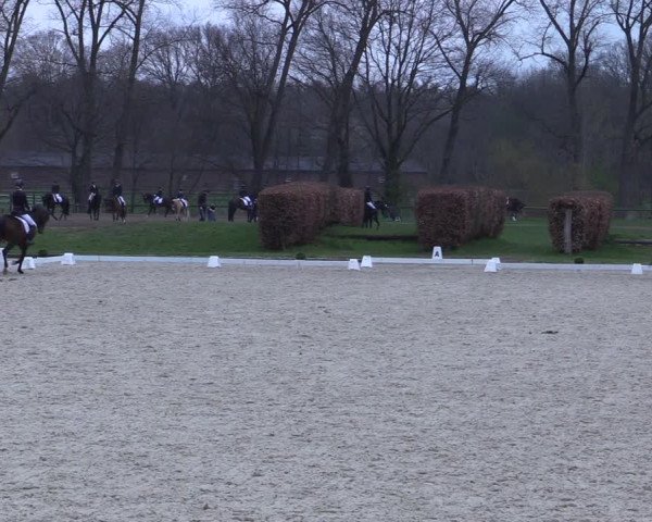 Reitturnier Münster-Handorf 2021
