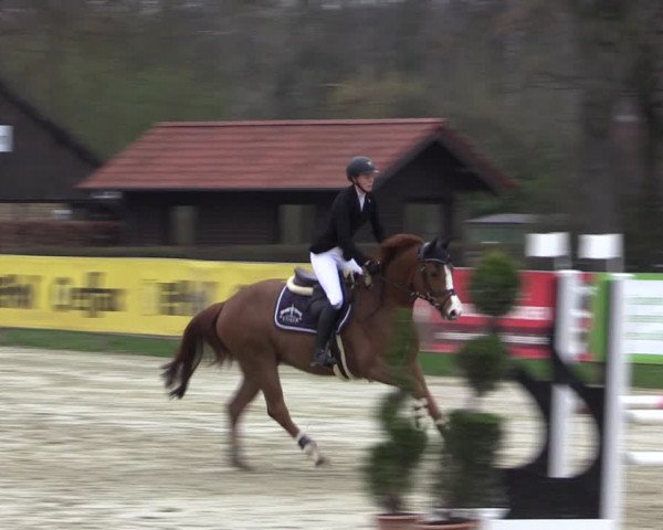 Reitturnier Münster-Handorf 2021