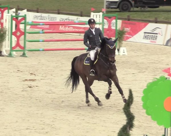 Reitturnier Westergellersen 2021