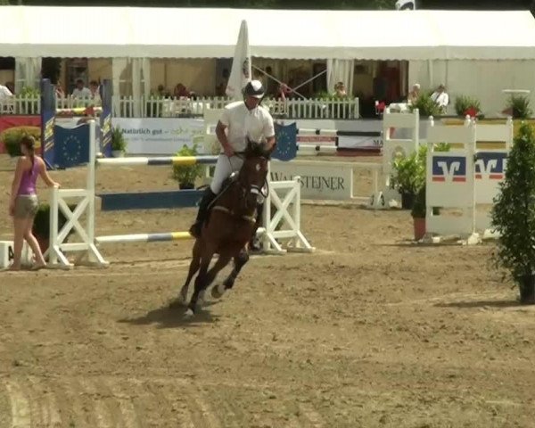 jumper Gamiro (Belgian Warmblood, 2006, from Ramiro Z)