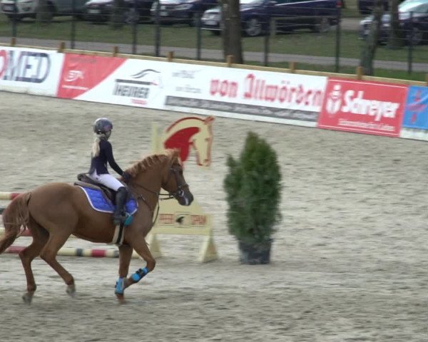 Reitturnier Westergellersen 2021