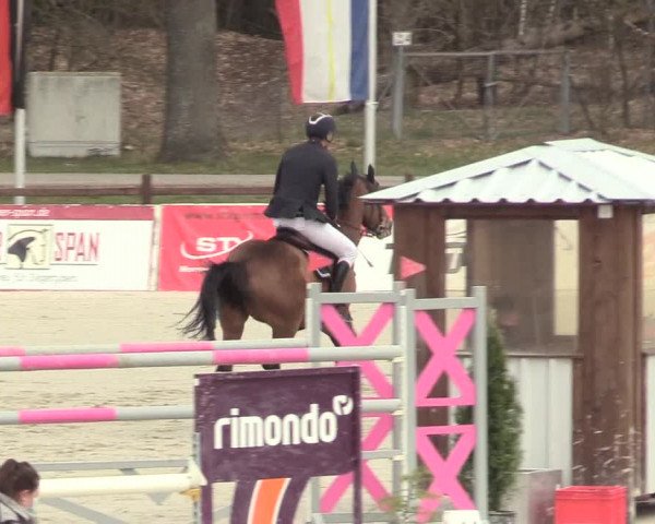 Reitturnier Westergellersen 2021
