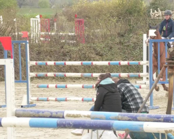 Reitturnier Nordheim-Wattenheim 2021