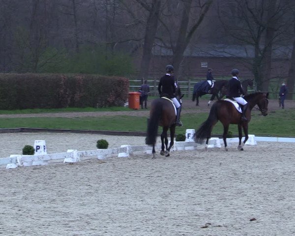 Reitturnier Münster-Handorf 2021