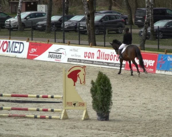 Reitturnier Westergellersen 2021