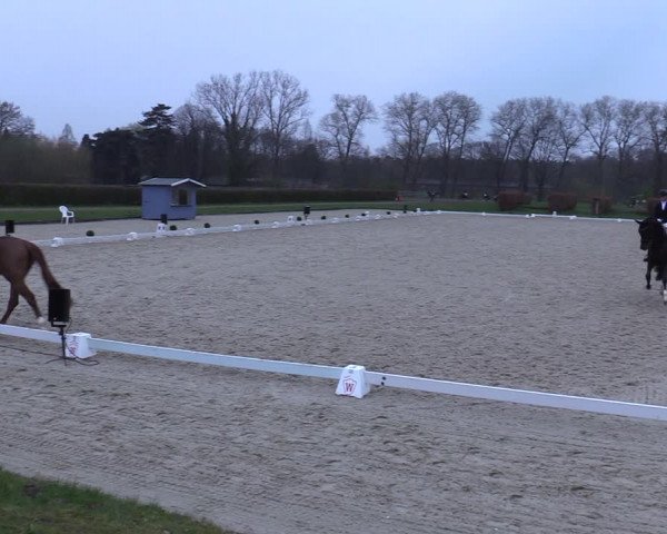 Reitturnier Münster-Handorf 2021