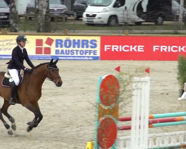 Reitturnier Westergellersen 2021