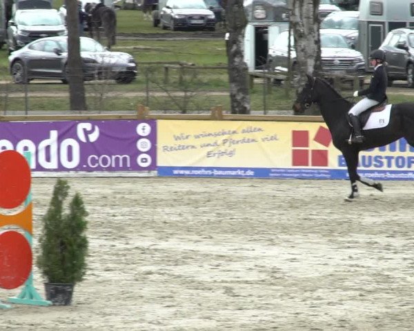 Reitturnier Westergellersen 2021