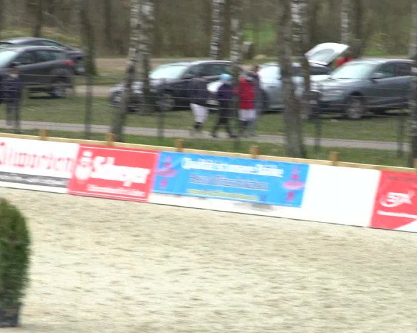 Reitturnier Westergellersen 2021