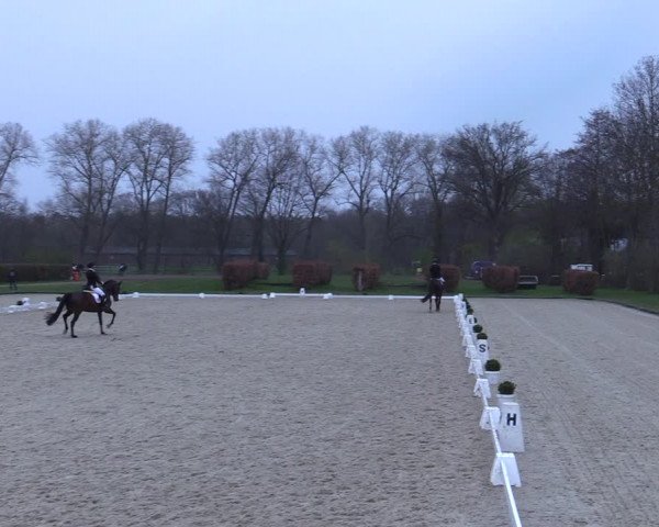 Reitturnier Münster-Handorf 2021