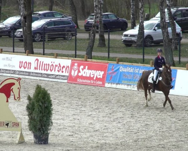 Reitturnier Westergellersen 2021