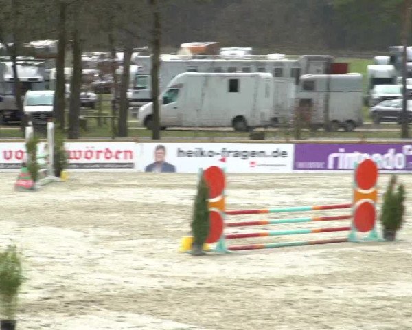 Reitturnier Westergellersen 2021