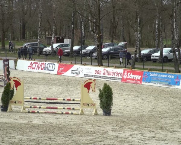 Reitturnier Westergellersen 2021