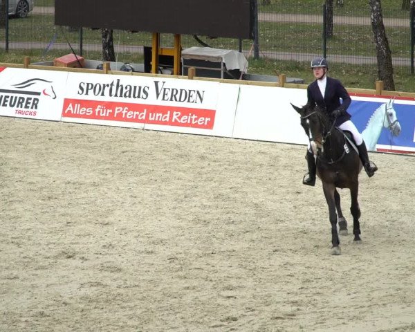 Reitturnier Westergellersen 2021