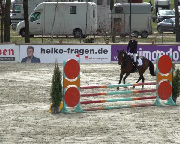 Reitturnier Westergellersen 2021
