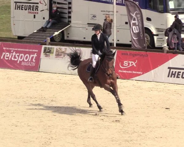 Reitturnier Westergellersen 2021
