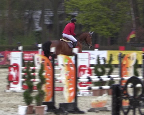 Reitturnier Münster-Handorf 2021