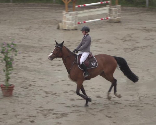 Reitturnier Erkrath - Uhlenhof 2021