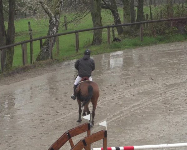 Reitturnier Erkrath - Uhlenhof 2021