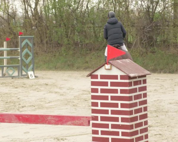 Reitturnier Nordheim-Wattenheim 2021