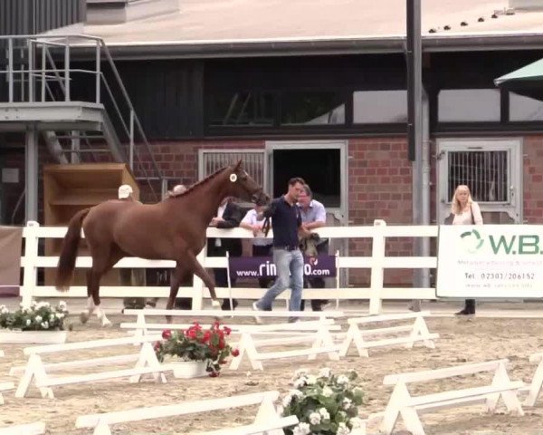 Fattrice Vitry (Westfalico, 2011, di Vitalis)