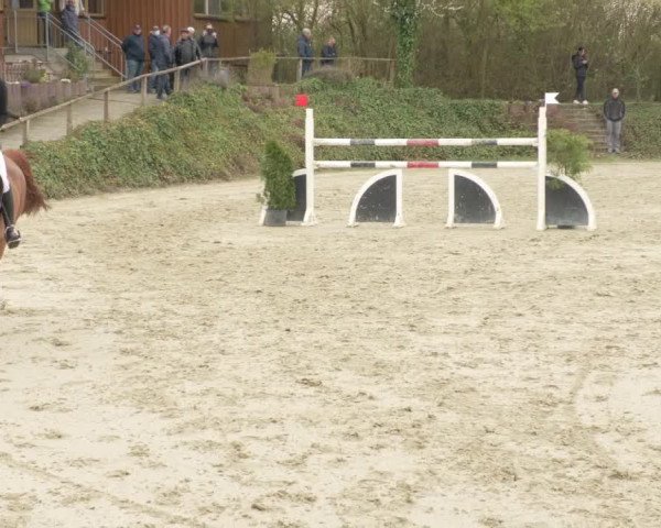 Reitturnier Nordheim-Wattenheim 2021