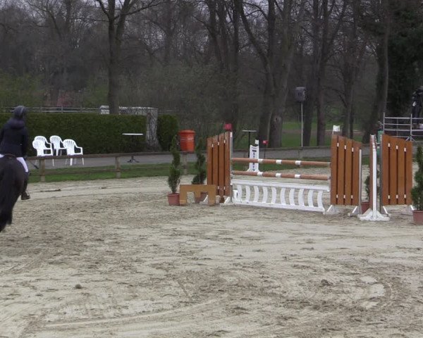 Reitturnier Münster-Handorf 2021