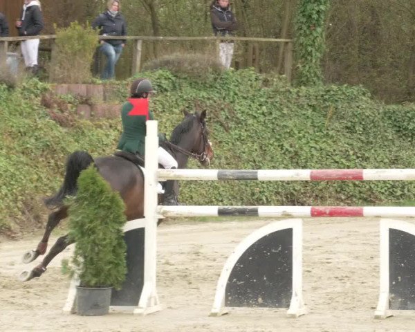 Reitturnier Nordheim-Wattenheim 2021