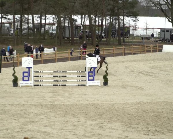 Reitturnier Westergellersen 2021