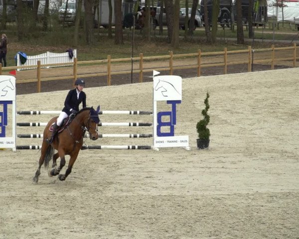 Reitturnier Westergellersen 2021