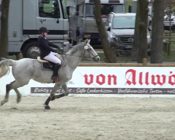 Reitturnier Westergellersen 2021