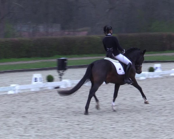 Reitturnier Münster-Handorf 2021