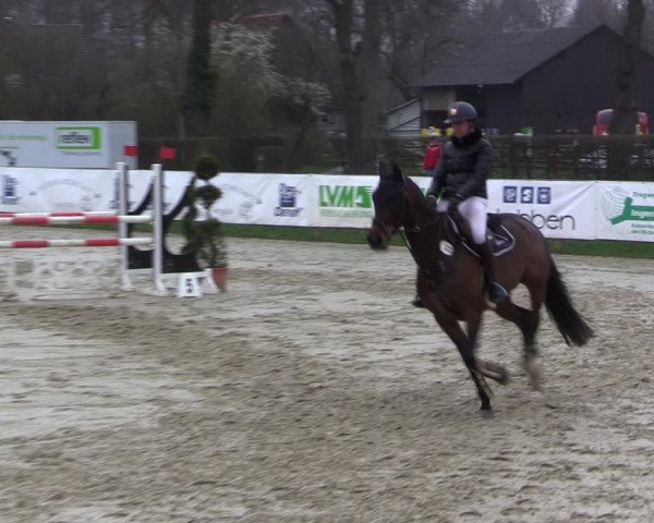 Reitturnier Münster-Handorf 2021