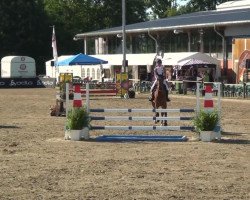 broodmare Cenna (Polish Warmblood, 2007, from Flirt)