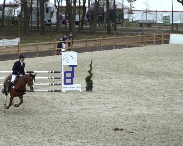 Reitturnier Westergellersen 2021